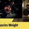 Different factors and tips for gaining muscles weight