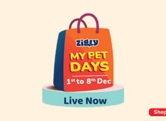 Shop All The Wishlisted Pet Products! Zigly My Pet Days Are Back!